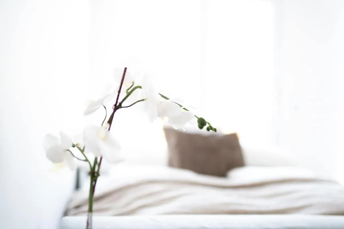 W Design Apartments With Balcony & Free Parking Vienna 0*,