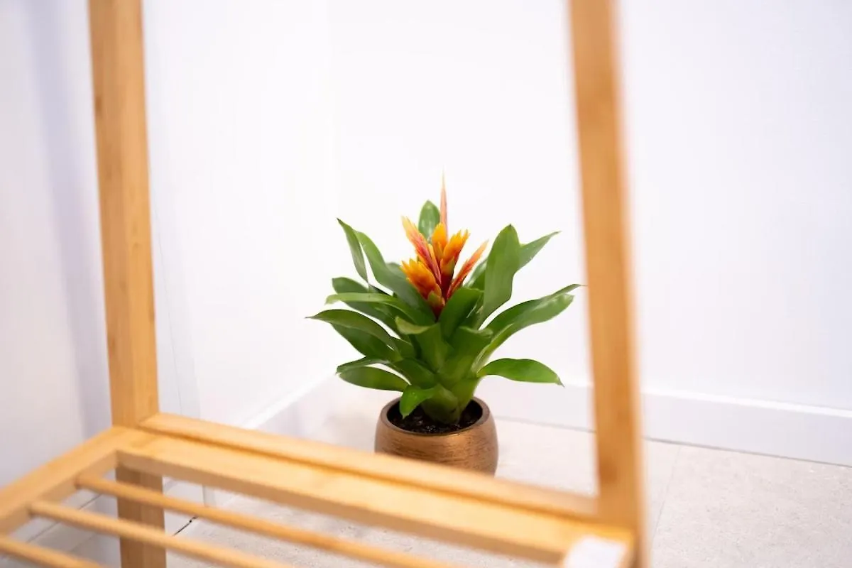 W Design Apartments With Balcony & Free Parking Vienna 0*,