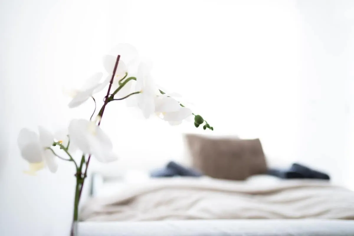 W Design Apartments With Balcony & Free Parking Vienna